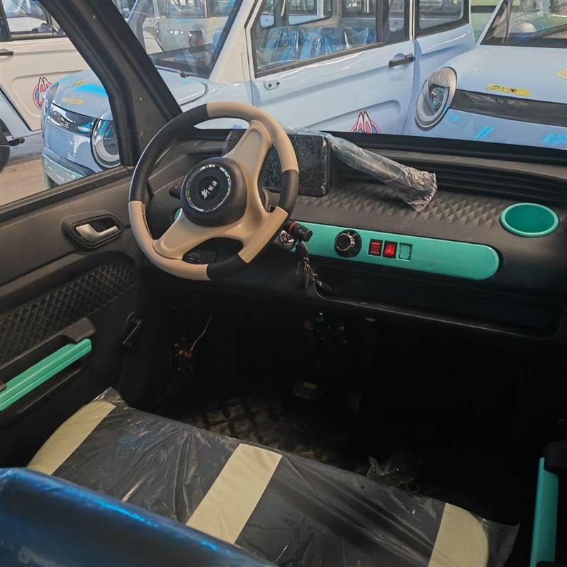 四轮电动车家用成人新款低速代步车新能源女士电两用电动4轮车