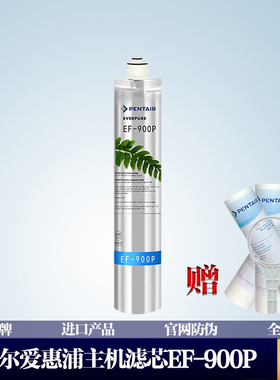 前置滨特尔爱惠浦原装正净水器滤芯家用自来水直饮过滤器EF-900P