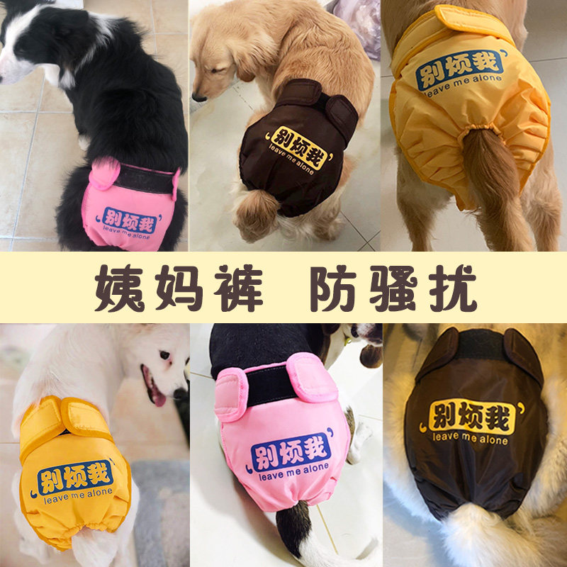 母狗狗生理裤女月经裤姨妈巾金毛发情期柯基中型犬安全裤避孕裤衩