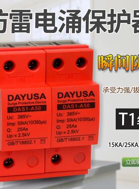 防雷浪涌保护器 T1 2P15KA避雷电涌保护器25KA50KAⅠ级防雷保护器