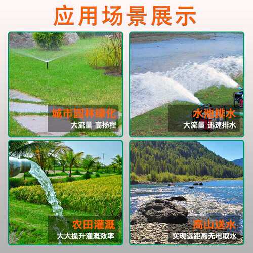 汽油水泵Ey20小型2寸汽油机抽水机自吸泵农用园林灌溉抽水泵