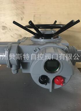 电动执行器控制板2SA8032-FDA00-0003,DZW20-24-A00-WK-ZTD24