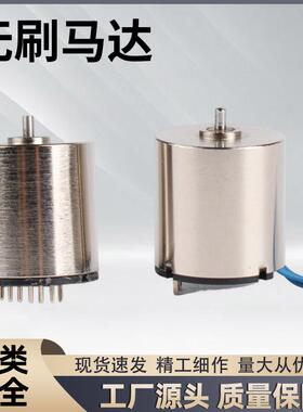 空心杯微型直流无刷电机马达无刷智能家用电器电机RCWS1718