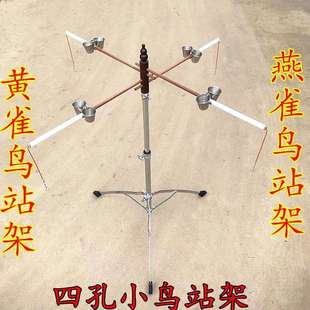 黄雀站架燕雀站架小鸟站架黄巧鸟架多只小鸟站架小型鸟站架