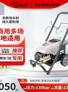 绿霸220V高压清洗机C19BG高压水刷车泵全自动关停机洗车机