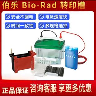 伯乐BIO-RAD电泳槽电泳仪垂直电泳槽1703930转印槽