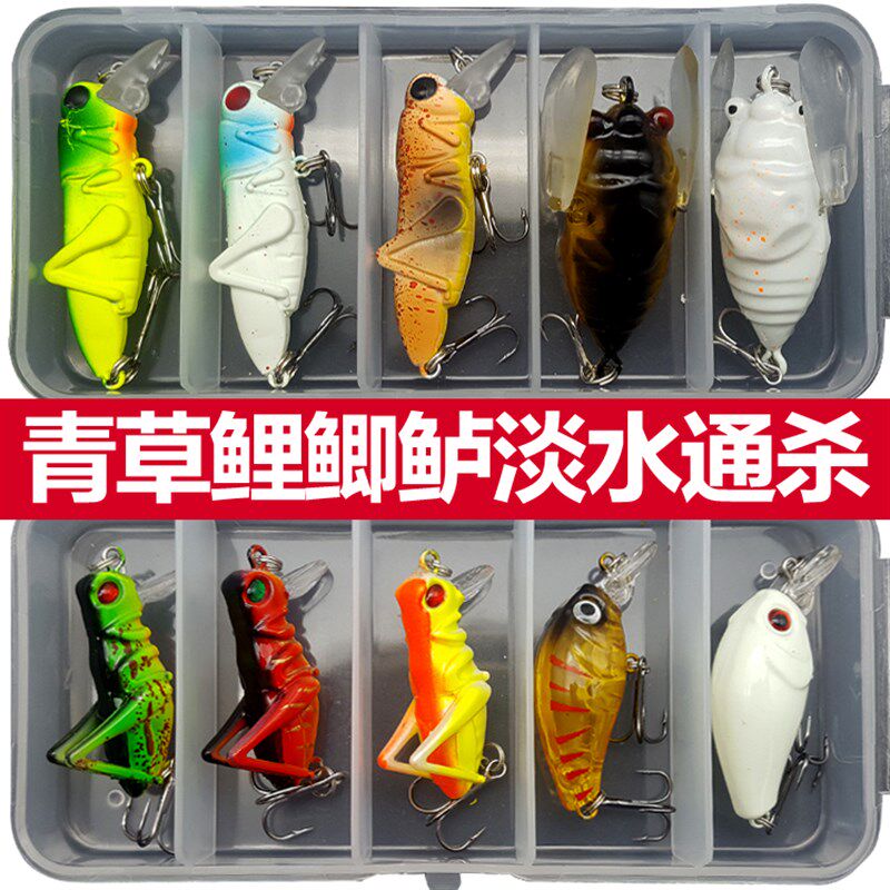 路亚饵青鱼草鱼鲤鱼通杀饵套装路亚饵淡水仿生蚂蚱蟋蟀昆虫假饵