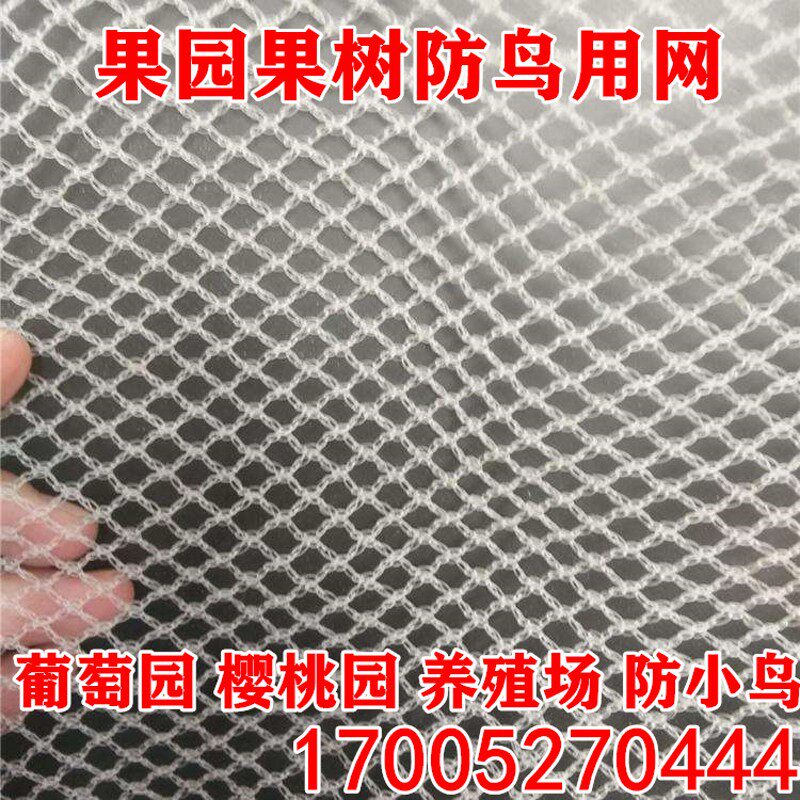 防蝗虫网防鸟网葡萄果园樱桃树网鱼塘冰雹网葡萄养殖网档杂物防护