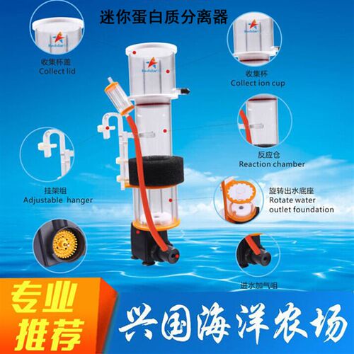 红海星蛋分 针刷蛋分SQ-50 70 90海水缸迷你小蛋白质分离器化氮器