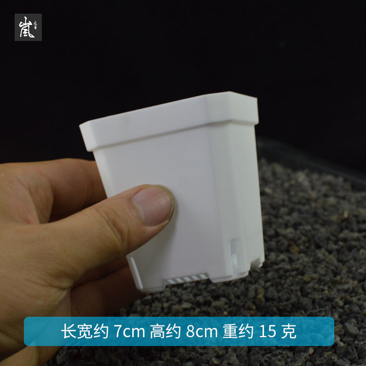 套餐丨第一代7cm大方盆 【40个装】多肉植物大黑白方 加厚花盆
