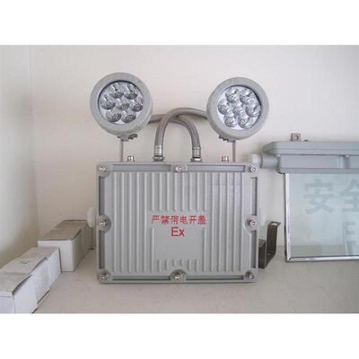 GCD803-YJ-6W双头防爆应急灯 事故照明两用灯 BCJ-2*3W