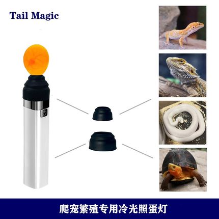 照蛋器led冷光手电筒蛇乌龟守宫爬宠孵化专业照蛋灯防水可充电