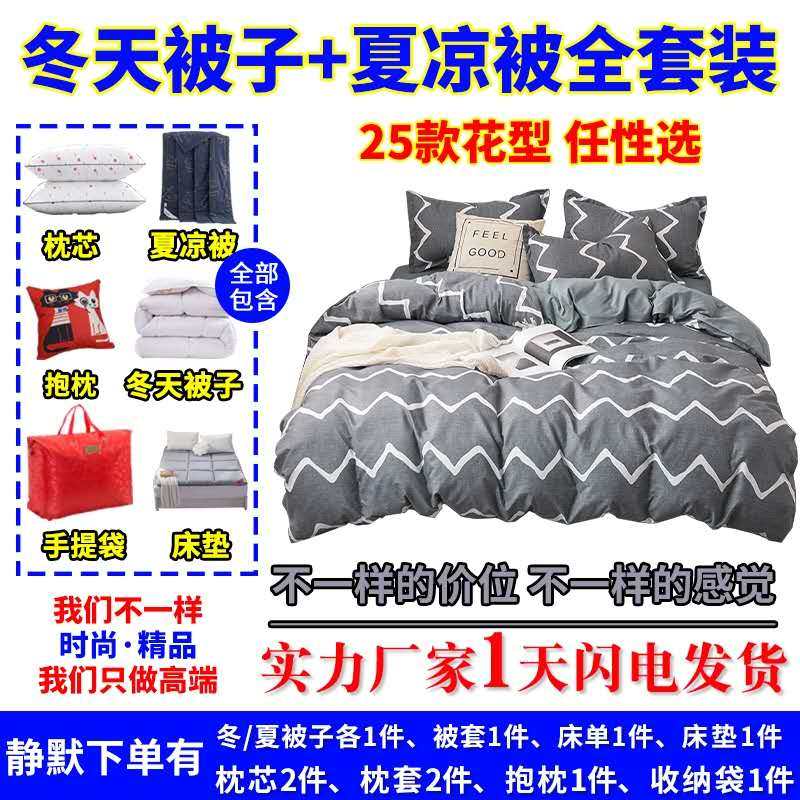 被褥枕头床垫全套装带冬季加厚被子送夏天夏凉被空调被三四六件套