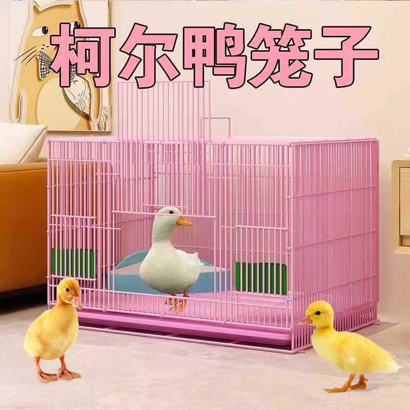 柯尔鸭笼子小鸭子鸭笼家用室内柯达防臭鸡笼鹌鹑笼