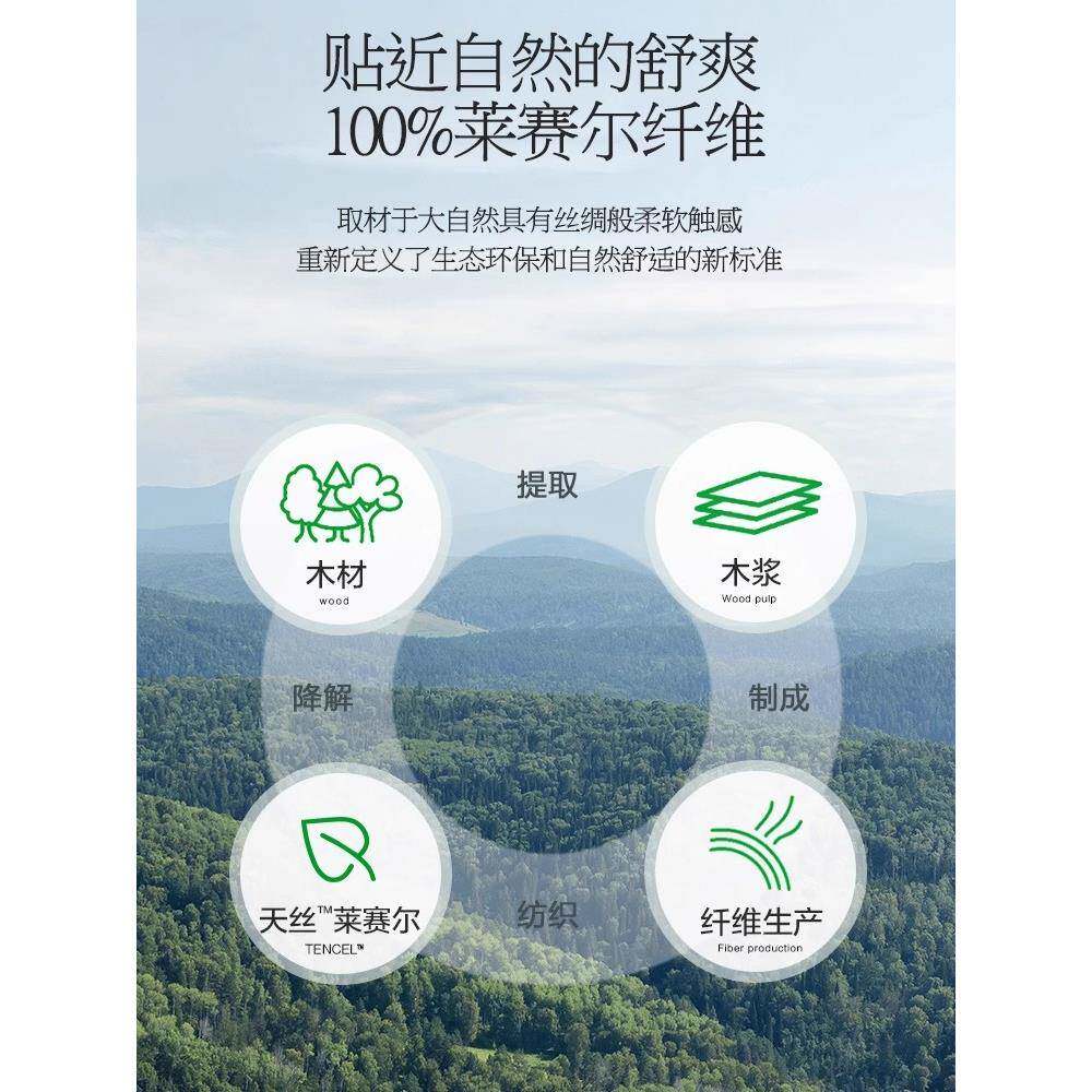 100S纯色兰精天丝夏季枕套一对装冰丝枕头套真丝家用单双人整头套
