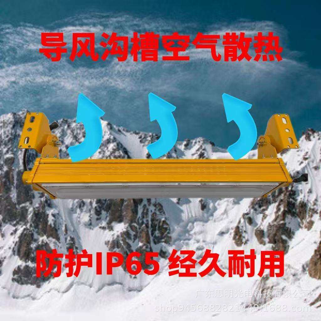 海洋隧道防爆灯隔爆led照明吸顶灯泛光抗冲击化工业棚顶灯应急灯