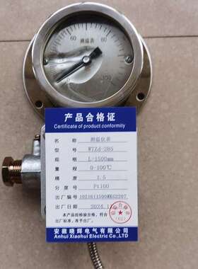 WTZd-285测温表温度范围0-100℃
