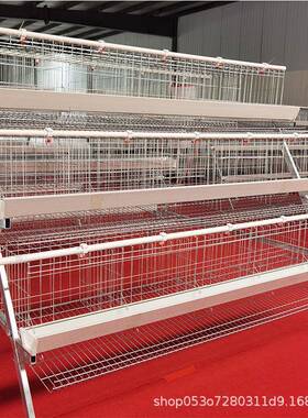 蛋鸡笼三层鸡门阶梯蛋笼镀锌笼五小笼鸡RNQ白食槽全自动半自动鸡