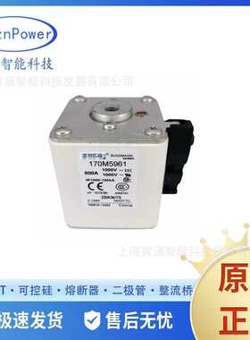 170M4460 170M4466 170M4699直流快速熔断器/高压熔断器保险丝