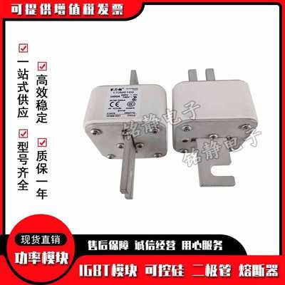 170M6198 170M6199 170M6200巴斯曼170M6201熔断器现货