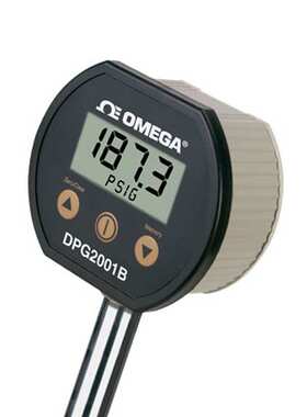 数显压力计DPG2001B-200G,DPG2001B-5000G,DPG2001B-300G,15V100G