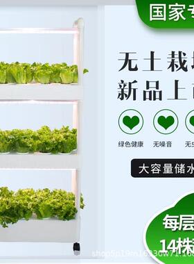 无土栽台培家庭学校阳种植水培机设种菜四层48孔机DIY全光谱立备