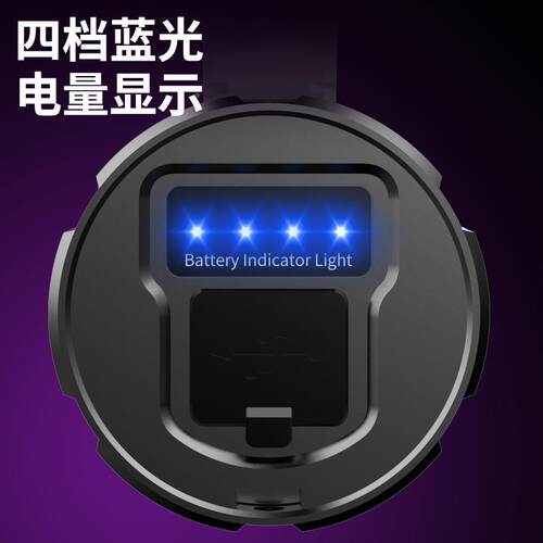 光超SX10紫光亮照子专用灯看紫光蝎双光源充电变焦户外蝎LED验钞