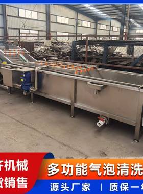 五谷杂粮清洗机全自动辣椒气泡清洗机湖北恩施农副产品清洗机