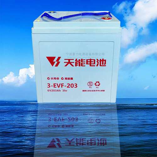天能电池6V203电瓶奉化慈溪象山观光车3EVF-203保洁车洗地机电池