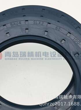 CFW密封件BAU4SLX2-65-100-12/8进口油封65mmX100mmX12mm
