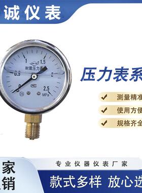 贸诚仪表Y-100径向压力表1.5级0-4.0MPaG1/2不锈钢