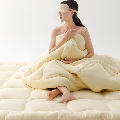 ql@3H简约纯色20%大豆蛋白纤维被芯60云丝保暖冬被单双人加厚春秋