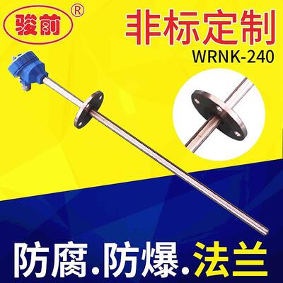 PT100防爆热电阻铠装热电偶端面热电阻防腐防爆法兰热电偶耐高温