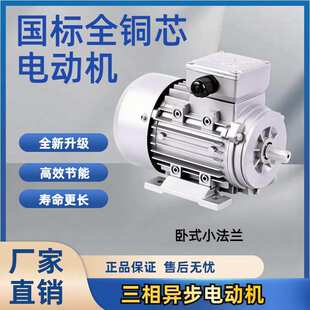 减速机三相电机380V纯铜线4极电机减速机电机种类多