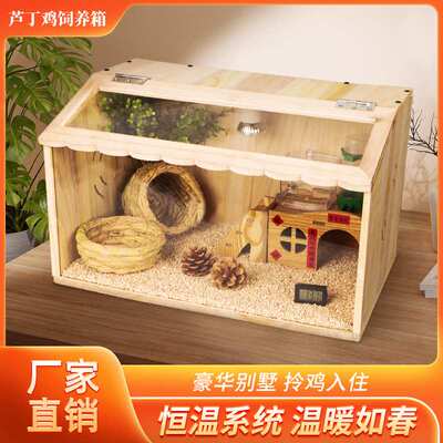 雏鸡鹌鹑保温箱小鸡鸟保温饲养爬宠箱鸡鸭鹅鹌鹑芦丁鸡育雏箱