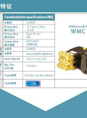WMC1317 1515意大利博托里尼贝托里尼BERTOLINI高压柱塞水泵