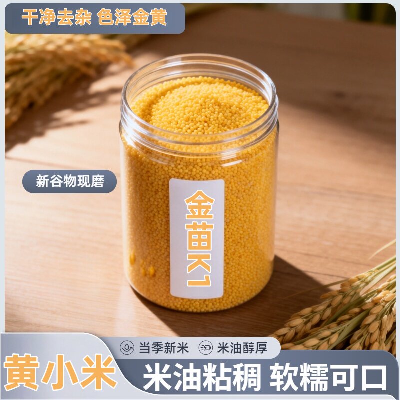 当季新黄小米月子米五谷杂粮