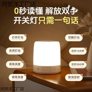 智能语音灯小夜灯声控感应卧室床头睡眠夜晚睡觉伴睡定时款台灯起