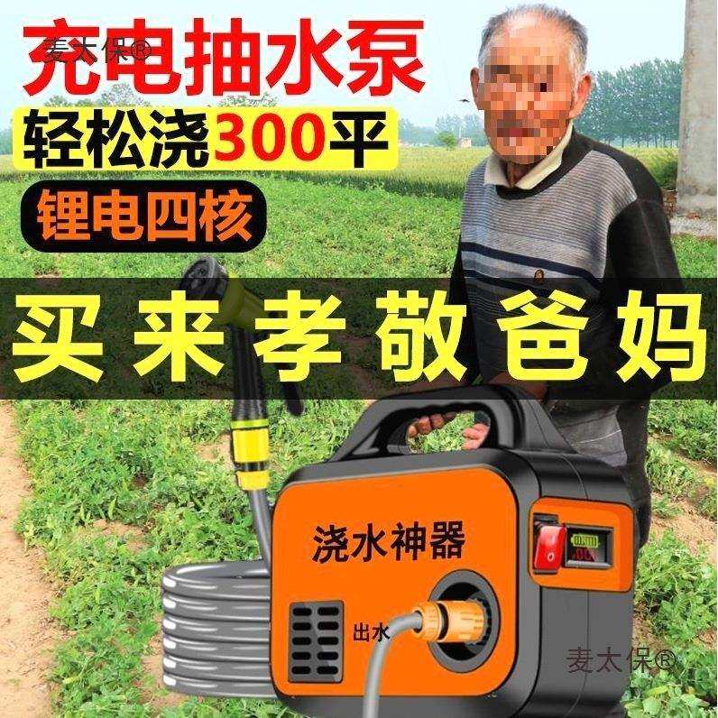 德国进口抽水泵小型充电式菜地浇水机淋浇菜神器浇地家用锂麦太保