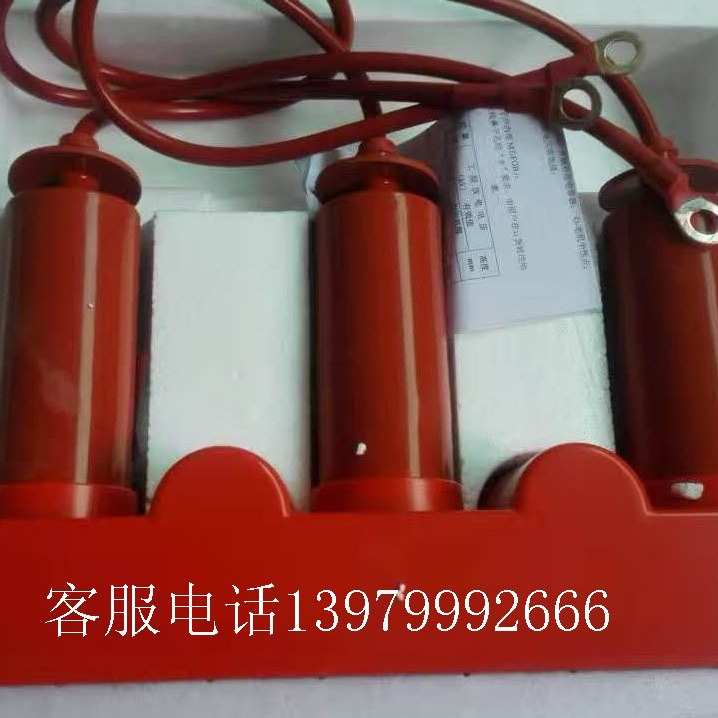 BSTG-A-3.8/800过电压保护器三相组合式10KV无间隙防雷保护器