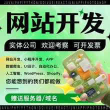 网站定制开发小程序公众号 商城APP数据爬虫UI设计WP自动化办公AI
