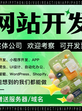 网站定制开发小程序公众号 商城APP数据爬虫UI设计WP自动化办公AI