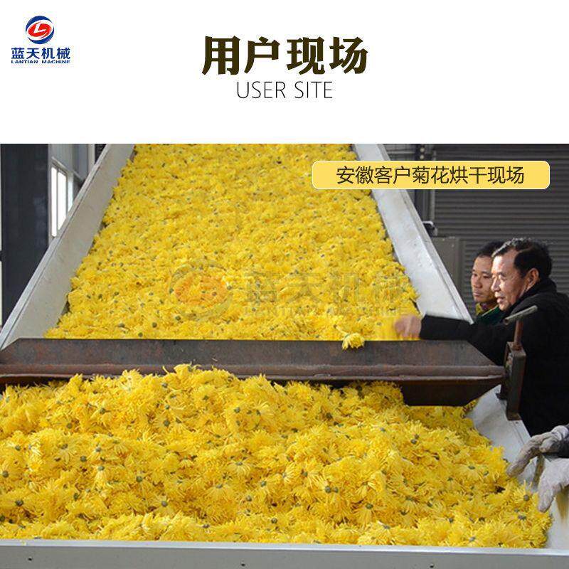全自动网带式桂菊花烘花干AHU 丹参山药片皮烘干机机 地黄陈烘干