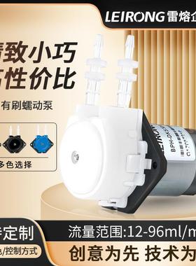 雷熔BPH有刷直流实验室小型小流量微型工业抽水低噪音自吸蠕动泵