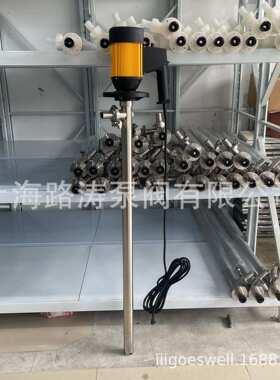 HD-E2-V+SS304-1200HP耐腐蚀插桶泵不锈钢化工油桶泵电动抽液泵