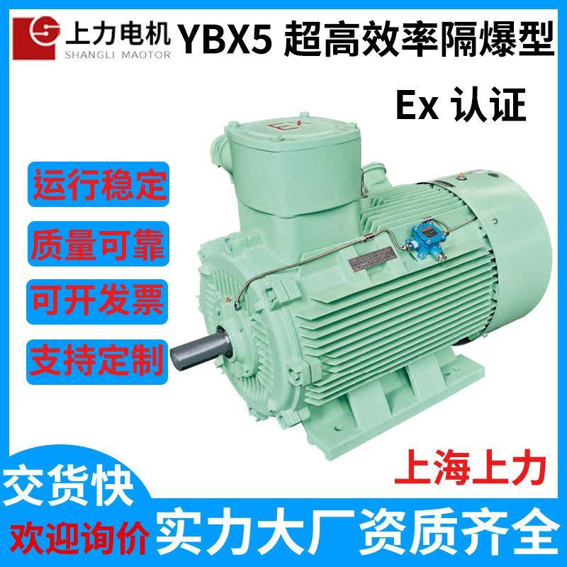 防爆等级ExdI/ExdIIBT4YBX5-315L2-2200W电机支持替换YB2