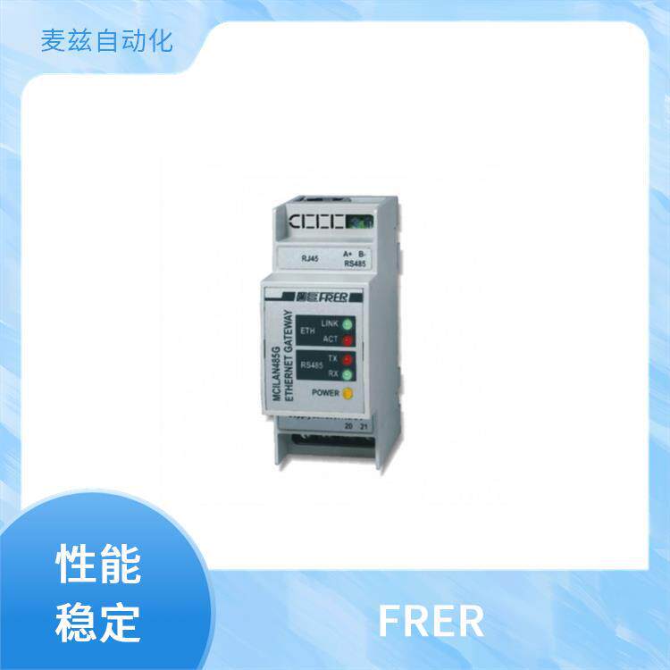FRER电流表ZF96MAX020X60品质可靠A14EAX250X05
