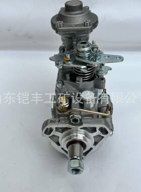 燃油泵196000-307022100-1C241喷油泵1960003070221001C241