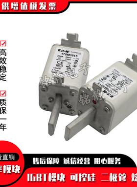 170M3815D170M3816D170M3817D170M3818D巴斯曼熔断器170M3819D