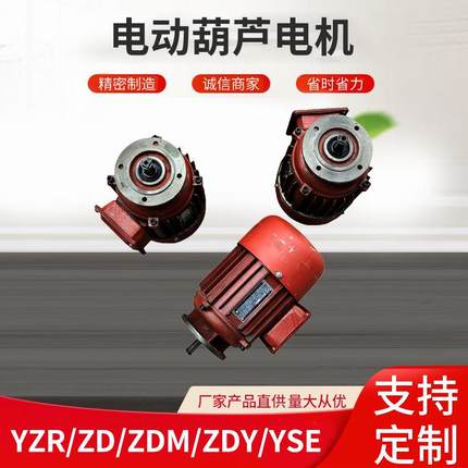 起重机电机电动葫芦电机YZR.ZD.ZDM.ZDY.YSE软启动